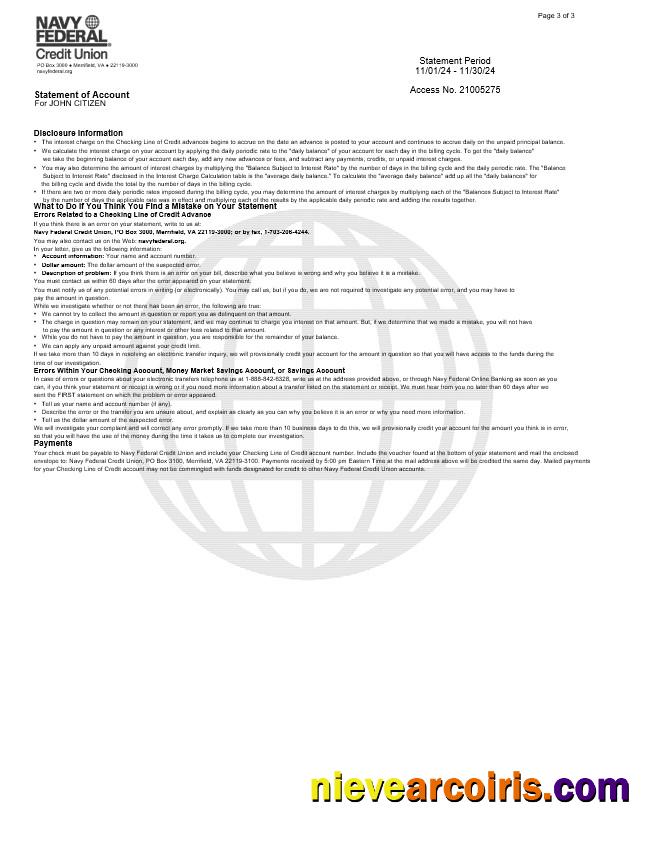 USA Navy Federal bank statement, 3 pages 2